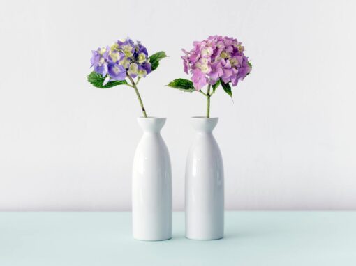 Flower blog